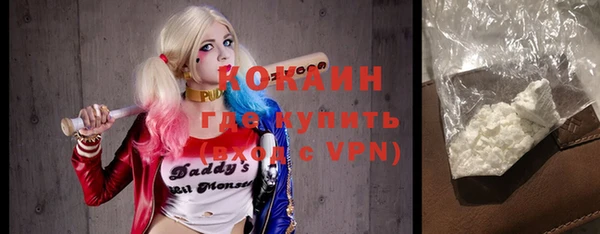 ГАЛЛЮЦИНОГЕННЫЕ ГРИБЫ Коряжма