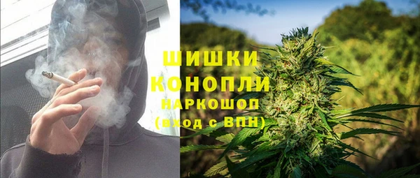 ГАЛЛЮЦИНОГЕННЫЕ ГРИБЫ Коряжма