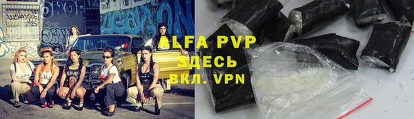 ГАЛЛЮЦИНОГЕННЫЕ ГРИБЫ Коряжма