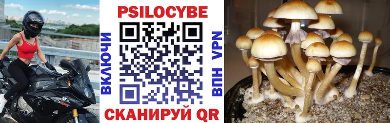 Галлюциногенные грибы GOLDEN TEACHER  сайты даркнета формула  Медвежьегорск 
